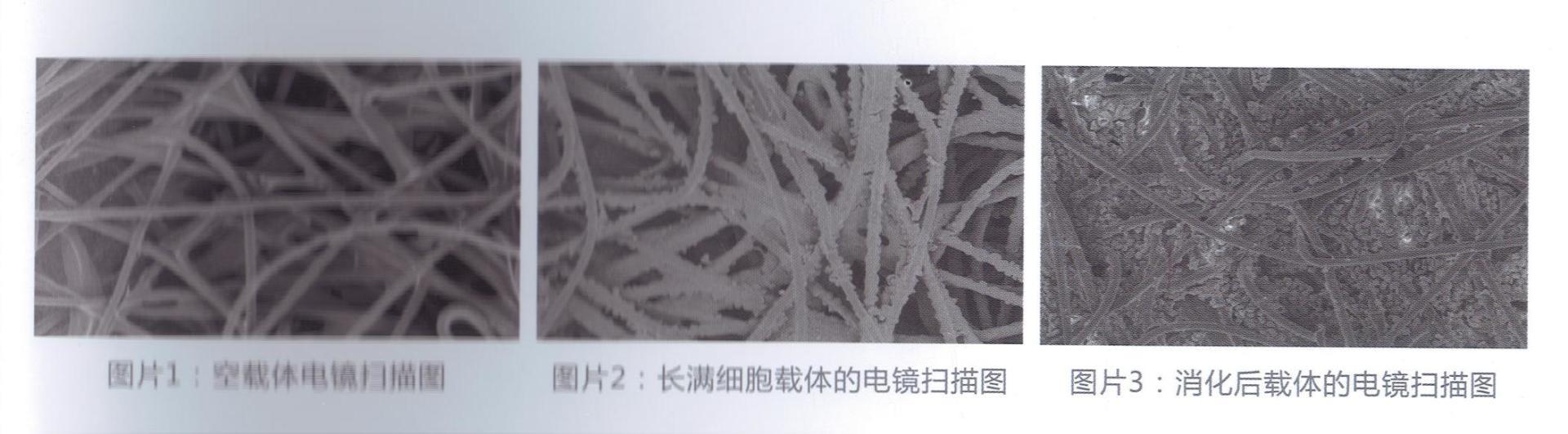 bbc8ada7-494e-4e5e-88f9-4f0a3a6e2420.jpg