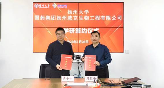 336ab6f3-dfd9-4cf8-befe-43f3d1739d46.jpg
